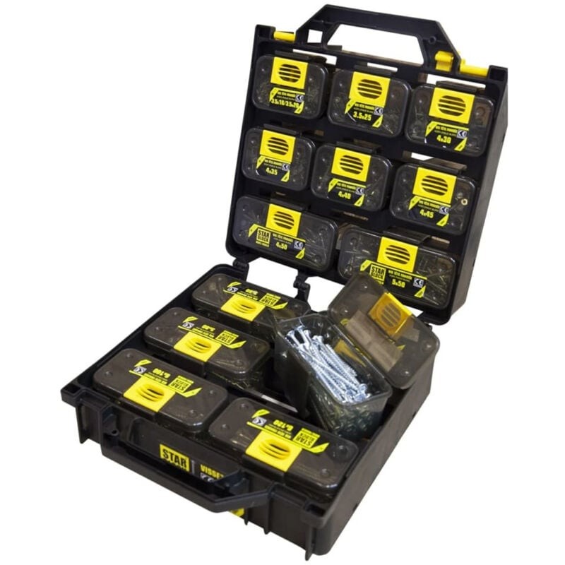 [479869] Coffret 1 350 vis Starblock
