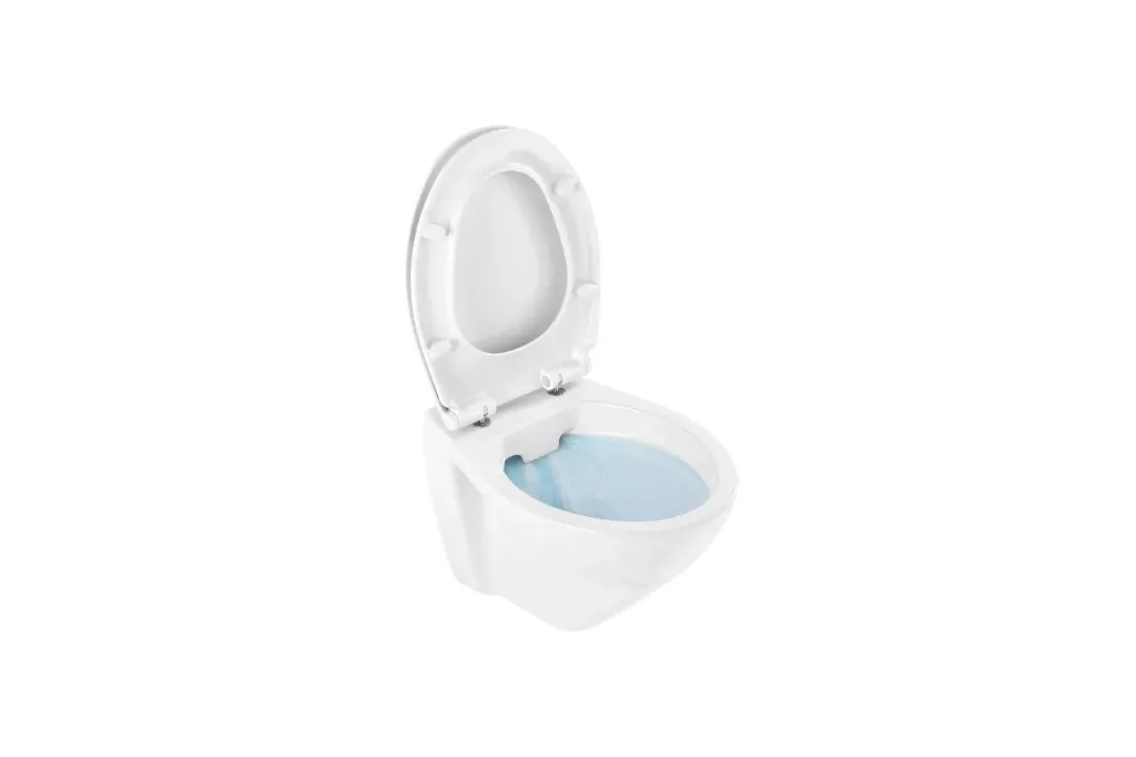 Cuvette WC suspendue " Cetus " sans bride